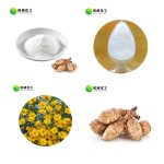 Bulk food supplement chicory extract inulin chicory root extract inulin powder