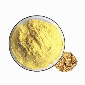 Superfood Supplement Pure Pine Pollen Cell Broken Pine Pollen Powder Organic