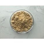 Natural Docosahexaenoic Acid Dha Algal Oil Schizochytrium Dha Powder