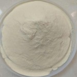CAS 11138-66-2 E415 Xanthan Gum Best Price 25 KG Bagged 80 Mesh Cosmetic Grade 200 Mesh Food Grade Xanthan Gum Powder Thickener