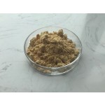Natural Docosahexaenoic Acid Dha Algal Oil Schizochytrium Dha Powder