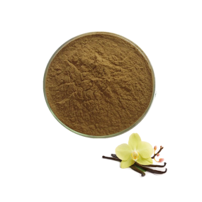 Factory Supply Vanilla Bean Extract Food Grade Vanilla Extract Powder Organic Vanilla Powder Flavor Vanillin