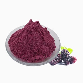 Wholesale Food Grade Mulberry Powder Mulberry Fruit Extract Mulberry Juice Powder