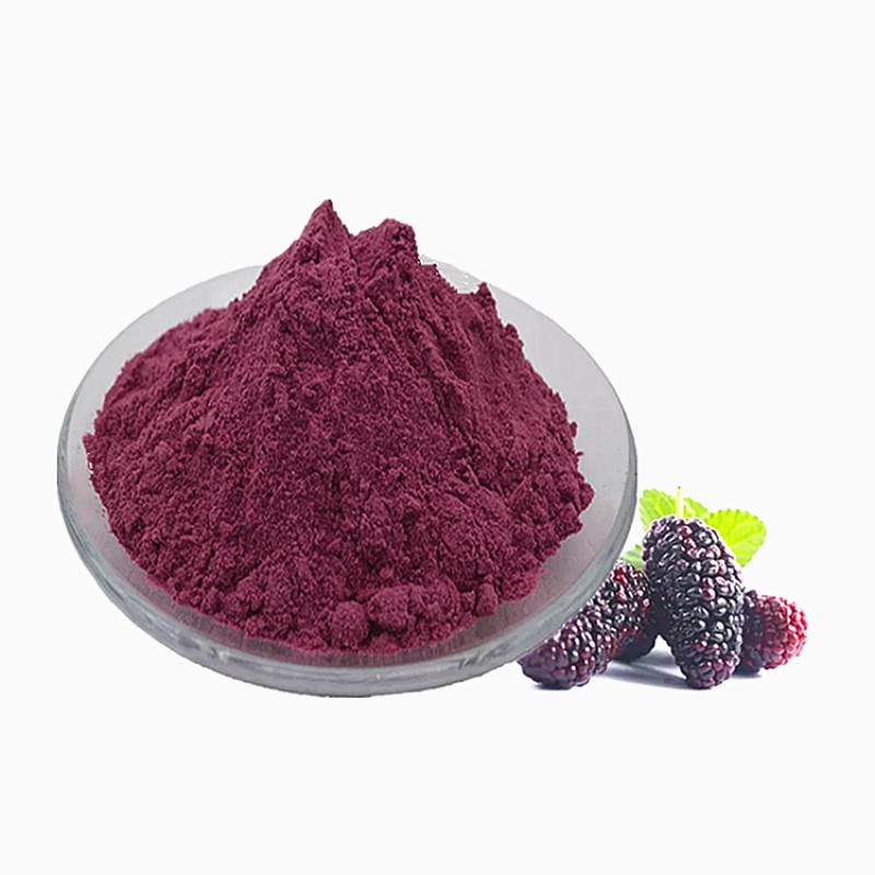 Wholesale Food Grade Mulberry Powder Mulberry Fruit Extract Mulberry Juice Powder