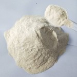 CAS 11138-66-2 E415 Xanthan Gum Best Price 25 KG Bagged 80 Mesh Cosmetic Grade 200 Mesh Food Grade Xanthan Gum Powder Thickener