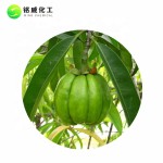 Health Supplement Garcinia Cambogia Extract HCA Pure Natural Hydroxycitric Acid Powder