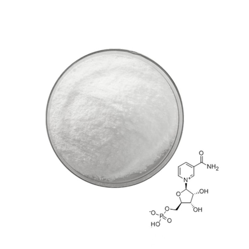 Factory Supply CAS 1094-61-7 Beta Nicotinamide Mononucleotide Nicotinamide Powder NMN Powder