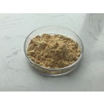 Natural Docosahexaenoic Acid Dha Algal Oil Schizochytrium Dha Powder