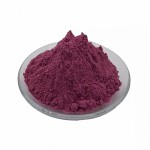 Wholesale Food Grade Mulberry Powder Mulberry Fruit Extract Mulberry Juice Powder