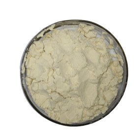Food Grade 90% Non-GMO Isolated Soy Protein Supplements Powder