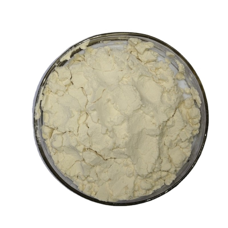 Food Grade 90% Non-GMO Isolated Soy Protein Supplements Powder