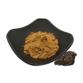 Natural Health Supplement Shilajit Extract Powder Shilajit Powder