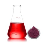 Wholesale Food Grade Mulberry Powder Mulberry Fruit Extract Mulberry Juice Powder