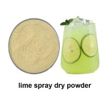 Hot Sell Lime Powder Lime Juice Powder Lime Spray Dry Powder