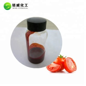 Natural Antioxidant Tomato Extract Pure Lycopene 5% 10% Oil Lycopene Extract