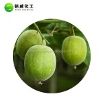 Natural Luo Han Guo Mogrosides 80% Mogroside V 30% Powder Monk Fruit Extract