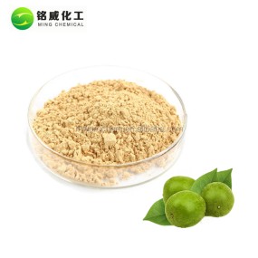 Natural Luo Han Guo Mogrosides 80% Mogroside V 30% Powder Monk Fruit Extract