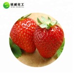 Pure Natural Unsweetened Spray Dried Strawberry Powder