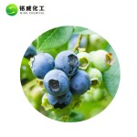 Bulk Pure Natural Blueberry Fruit Freeze Dried Powder FD Blueberry Powder