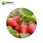 Pure Natural Unsweetened Spray Dried Strawberry Powder