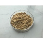 Natural Docosahexaenoic Acid Dha Algal Oil Schizochytrium Dha Powder