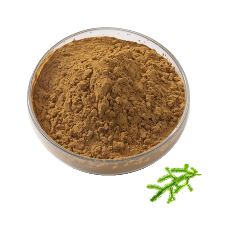 Natural Lycopodium Powder for Sale Lycopodium Spore Powder Lycopodium Clavatum Spores Powder