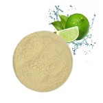 Hot Sell Lime Powder Lime Juice Powder Lime Spray Dry Powder