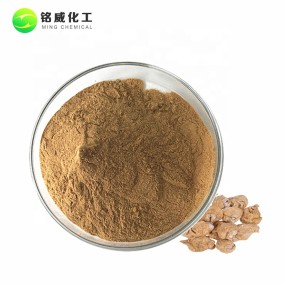 Factory Supply 100% Pure Natural Maca Root Extract Powder