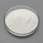 Hot Selling Health Food Supplement Creatine Powder CAS 57-00-1 Creatine for Bodybuilding