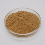 Natural Ajuga Turkestanica Extract Turkesterone Ajuga Turkestanica Extract Powder Ajuga Turkest Extract