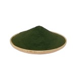 Bulk Spirulina Powder 60% Protein Green Spirulina Powder for Health Supplements