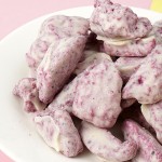 1kg巧克力涂层火龙果FD冻干水果干火龙果脆休闲零食干果批发OEM