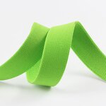 Polyester Webbing Stripe Factory - Light Green 25*2mm with Plastic Support