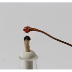 PBO Braided Rope Factory - High Temperature Flame Resistant 3mm Rope