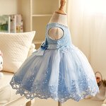 Princess Party Dress Manufacturer - OEM Applique Embroidered Knee-Length Gown