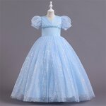 Children's Puffy Dress Manufacturer - OEM Custom Bubble Sleeve Wedding Skirt