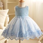 Princess Party Dress Manufacturer - OEM Applique Embroidered Knee-Length Gown