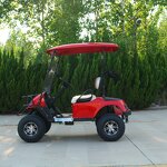 Electric Golf Cart Manufacturer - OEM/ODM 2-Seater 48v Lithium Sightseeing Golf Cart