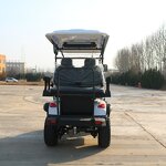 Electric Golf Cart Manufacturer - OEM/ODM 3-4 Seater Off-Road Cheap Buggy Car