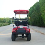 Electric Golf Cart Manufacturer - OEM/ODM 2-Seater 48v Lithium Sightseeing Golf Cart