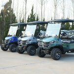Electric Golf Cart Manufacturer - OEM/ODM 2-Passenger 72v Sightseeing Golf Cart