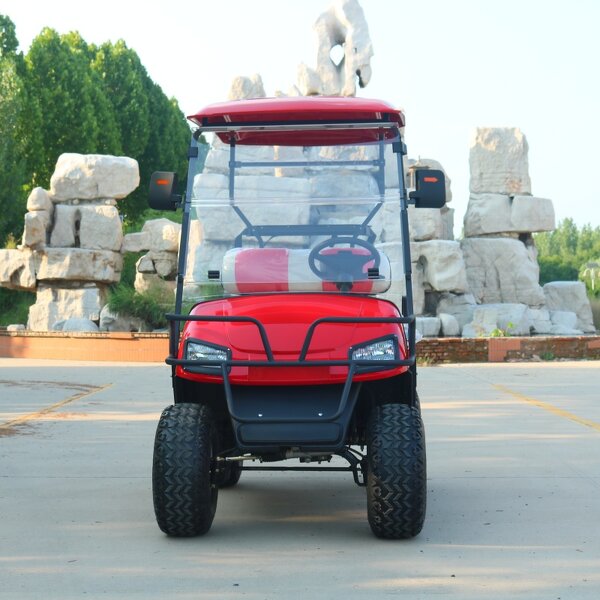 Electric Golf Cart Manufacturer - OEM/ODM 2-Seater 48v Lithium Sightseeing Golf Cart