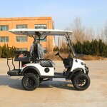 Electric Golf Cart Manufacturer - OEM/ODM 72v 6 Seater Street Legal Golf Cart