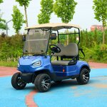 Electric Golf Cart Manufacturer - OEM Custom 2-Seater Lithium Battery Utility Cart