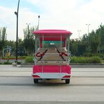 Electric Golf Cart Manufacturer - OEM/ODM Battery Operated New Energy Golf Cart