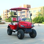Electric Golf Cart Manufacturer - OEM/ODM 2-Seater 48v Lithium Sightseeing Golf Cart