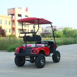 Electric Golf Cart Manufacturer - OEM/ODM 2-Seater 48v Lithium Sightseeing Golf Cart