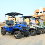 Electric Golf Cart Manufacturer - OEM/ODM 2-Passenger 72v Sightseeing Golf Cart