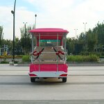 Gas Golf Cart Manufacturer - OEM/ODM 11 Seater Luxury Electric Utility Vehicle