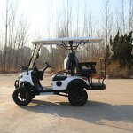 Electric Golf Cart Manufacturer - OEM/ODM 72v 6 Seater Street Legal Golf Cart